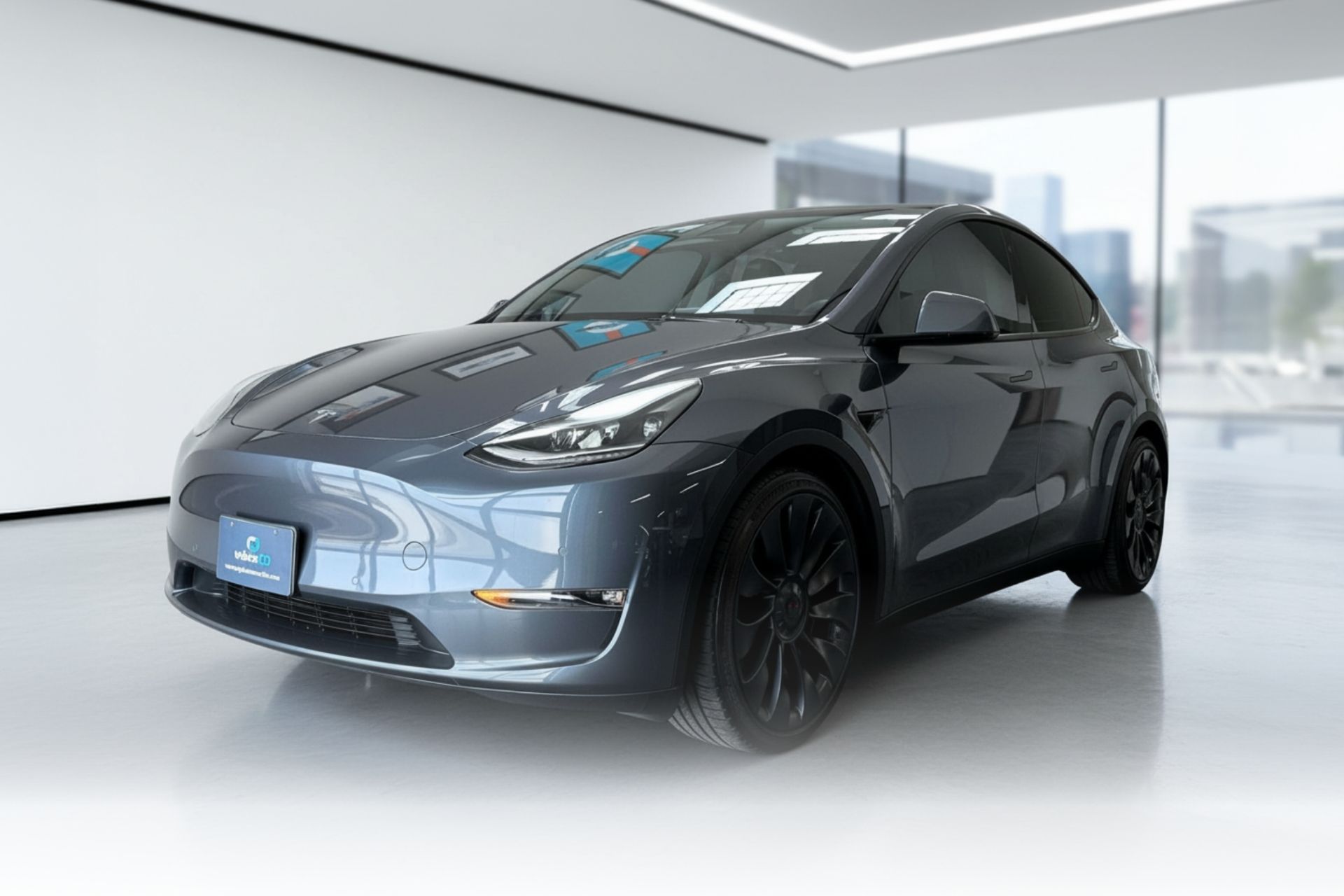 Model Y