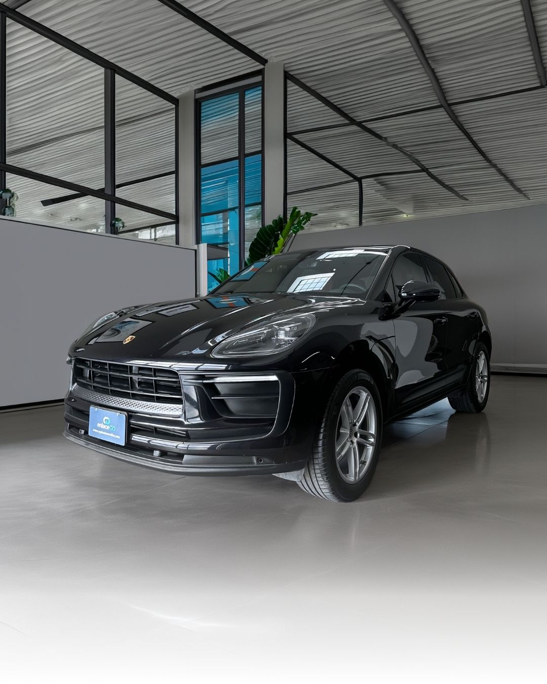 Macan